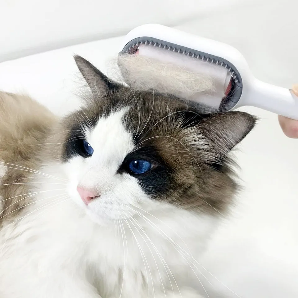 4-in-1 Pet Grooming Brush with Water Tank for Dogs & Cats