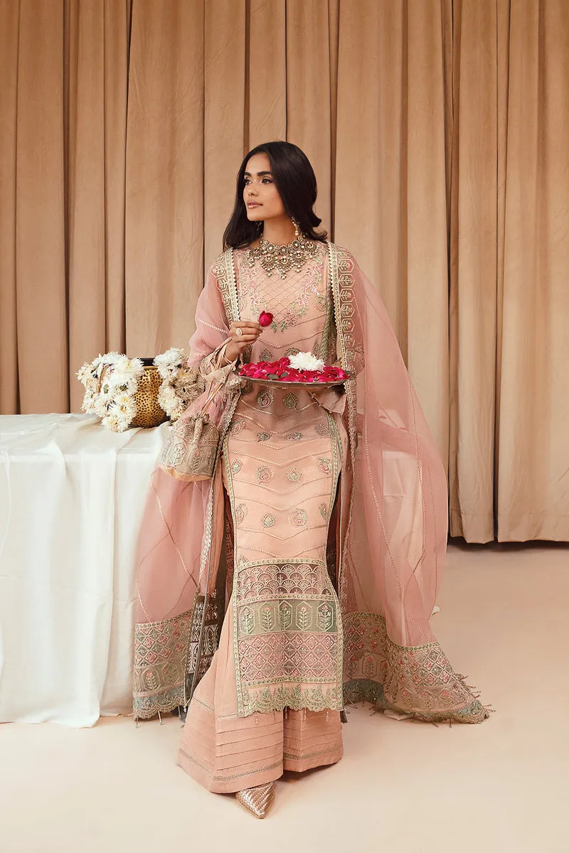 Baby Pink Embroidered Pakistani Kameez Trousers Wedding Dress
