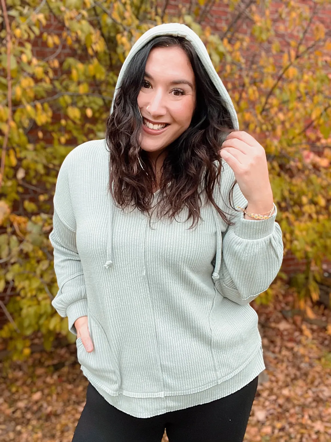 Cozy Comfort Hoodies