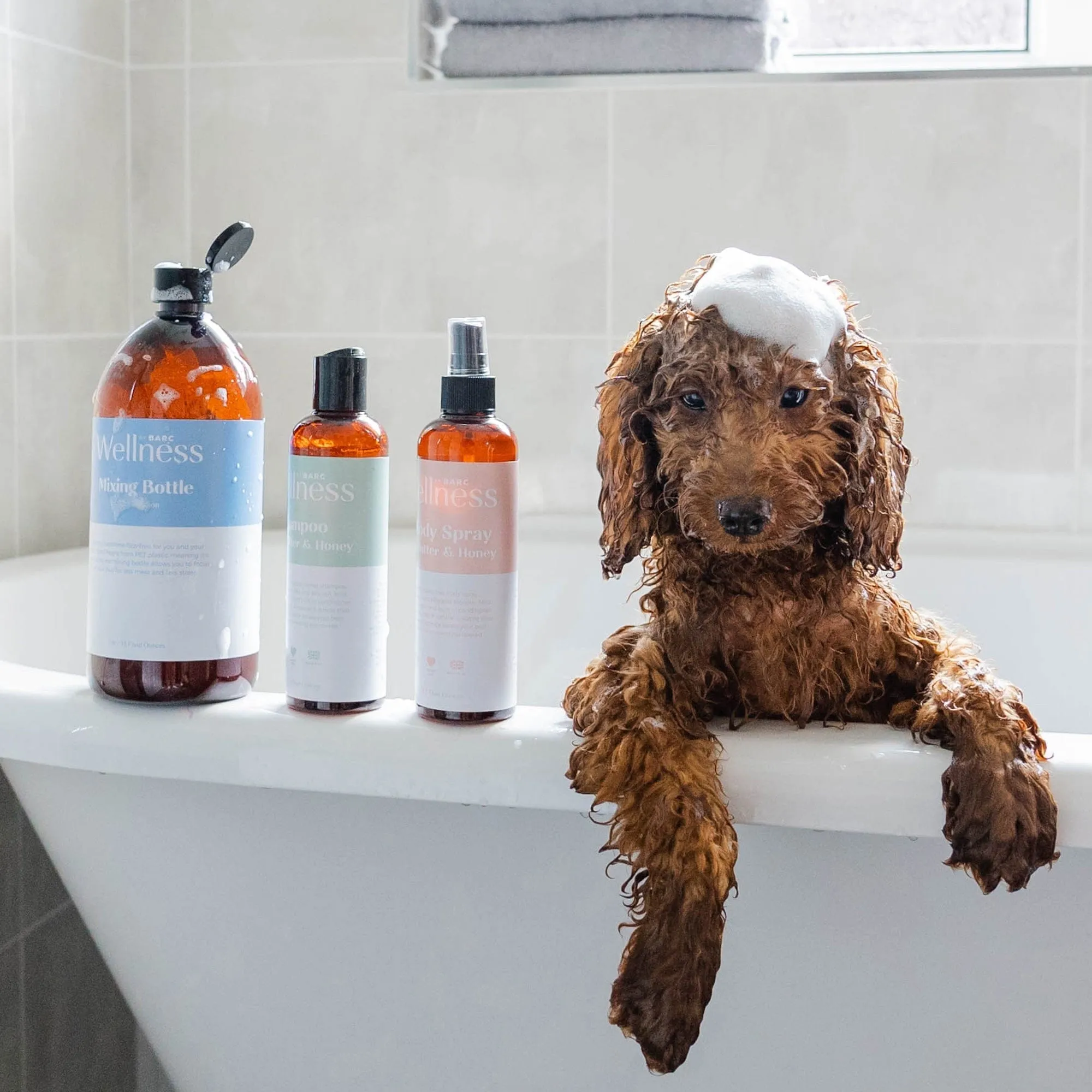 Dog Grooming Bundle