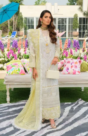 Embroidered Kameez Trouser Dupatta Pakistani Eid Dress