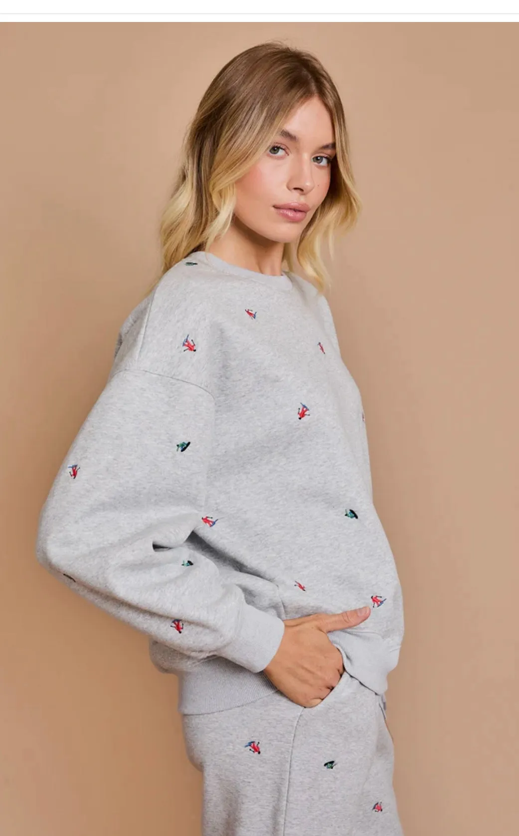 Gray Ski Sweatsuit