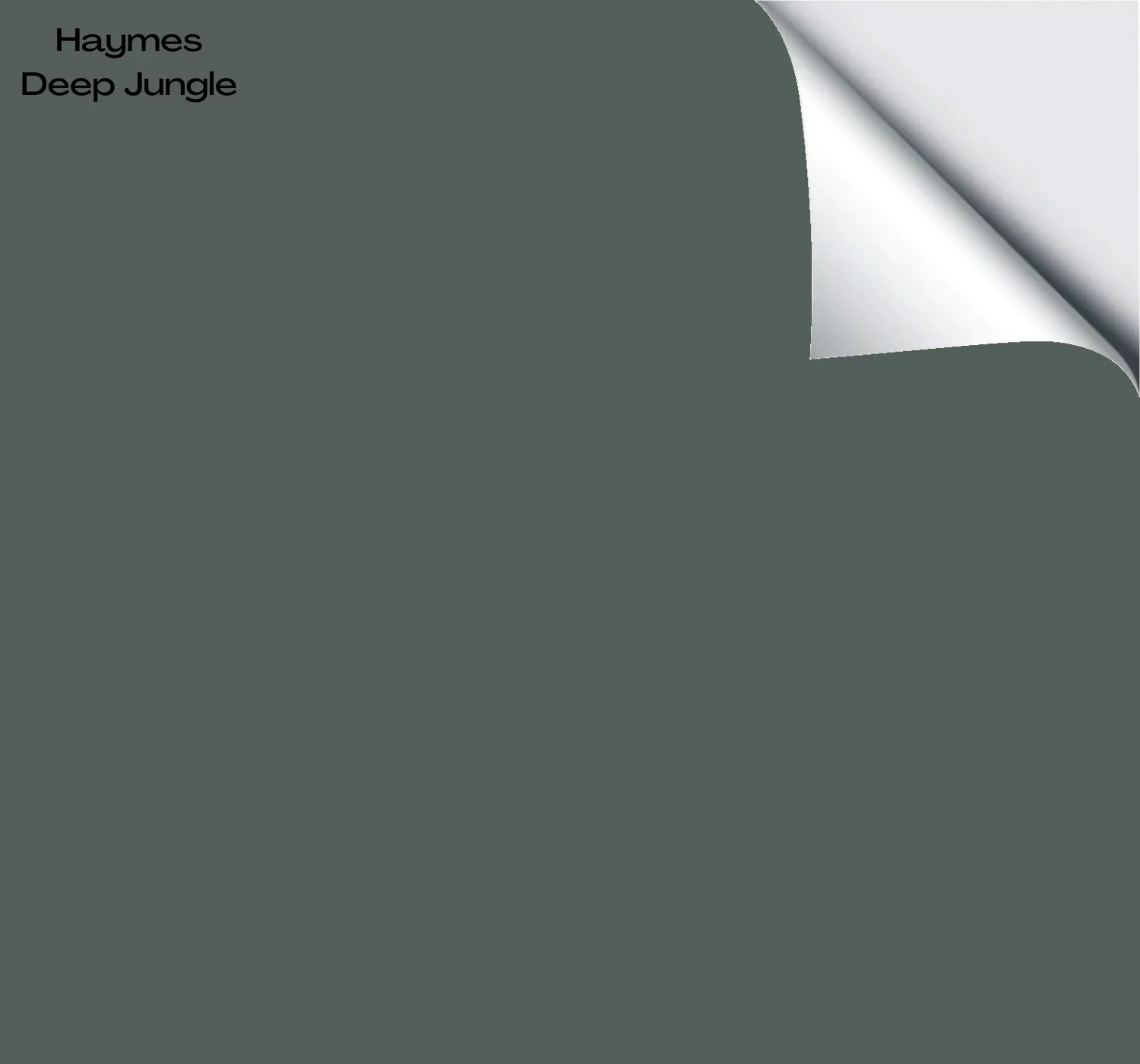 Haymes Deep Jungle