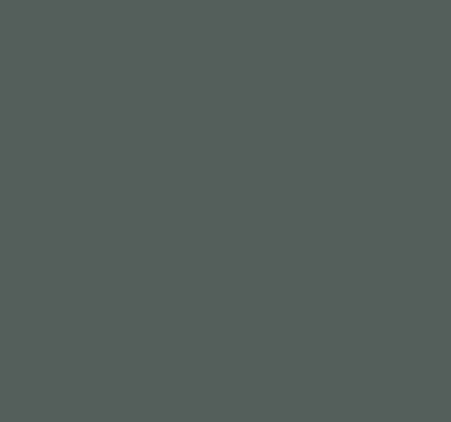 Haymes Deep Jungle