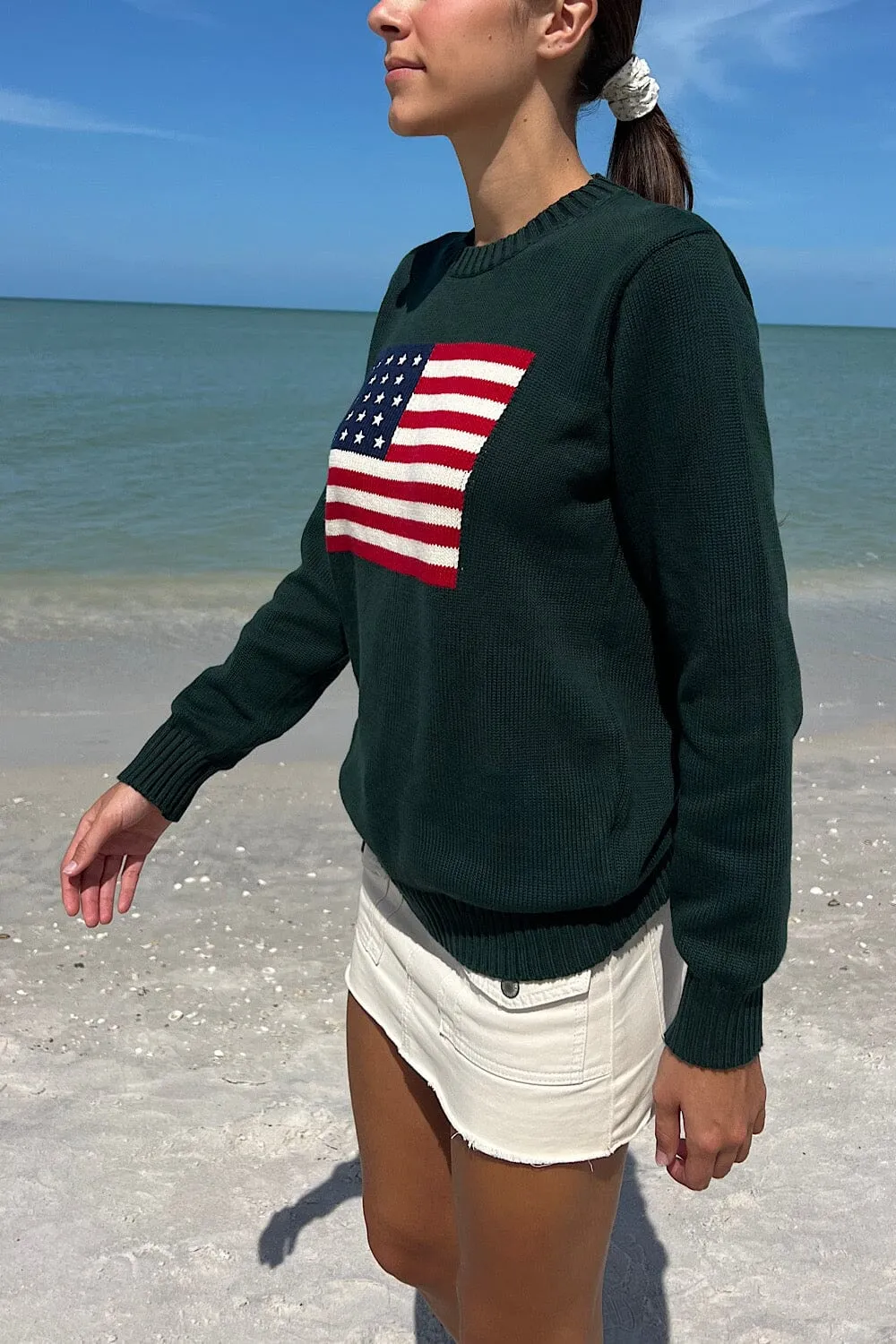 Nico American Flag Sweater