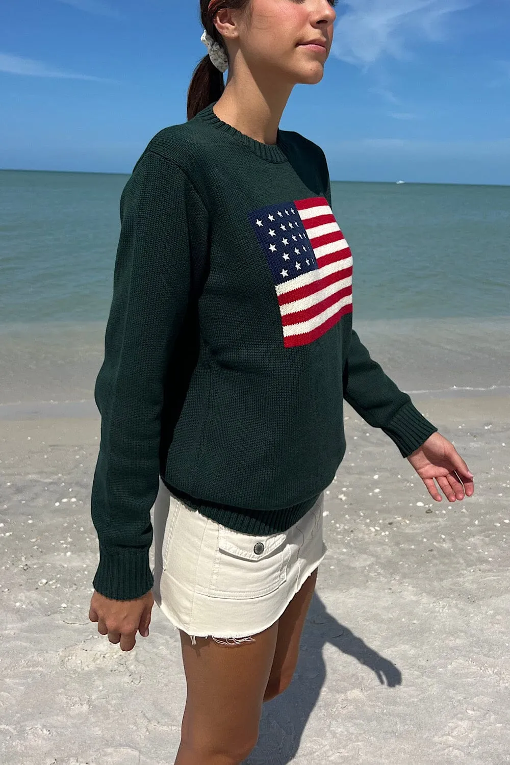Nico American Flag Sweater