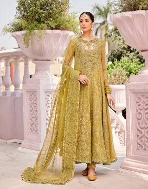 Organza Embroidered Frock Pakistani Party Dresses