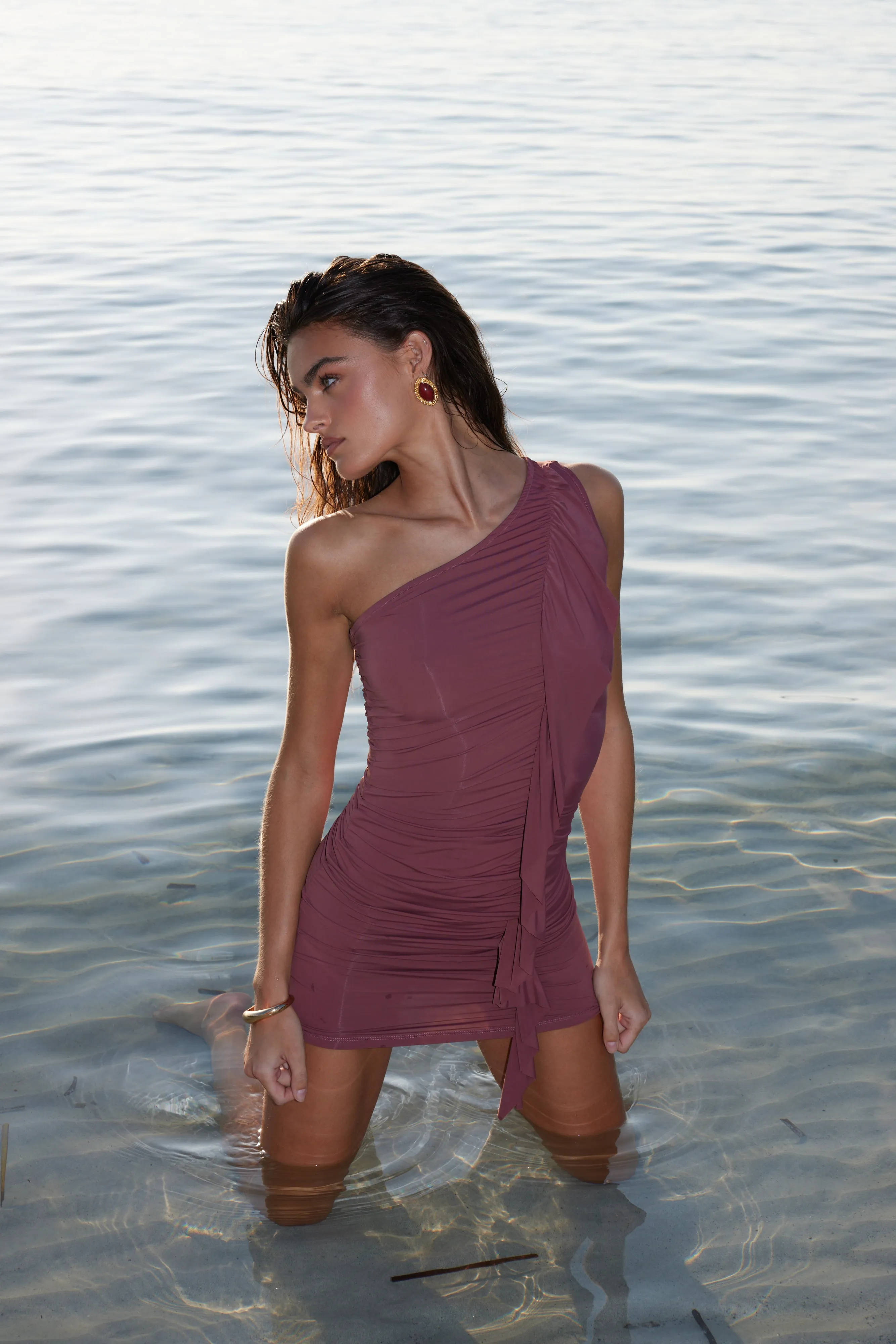 Spriza Mini Dress - Wine