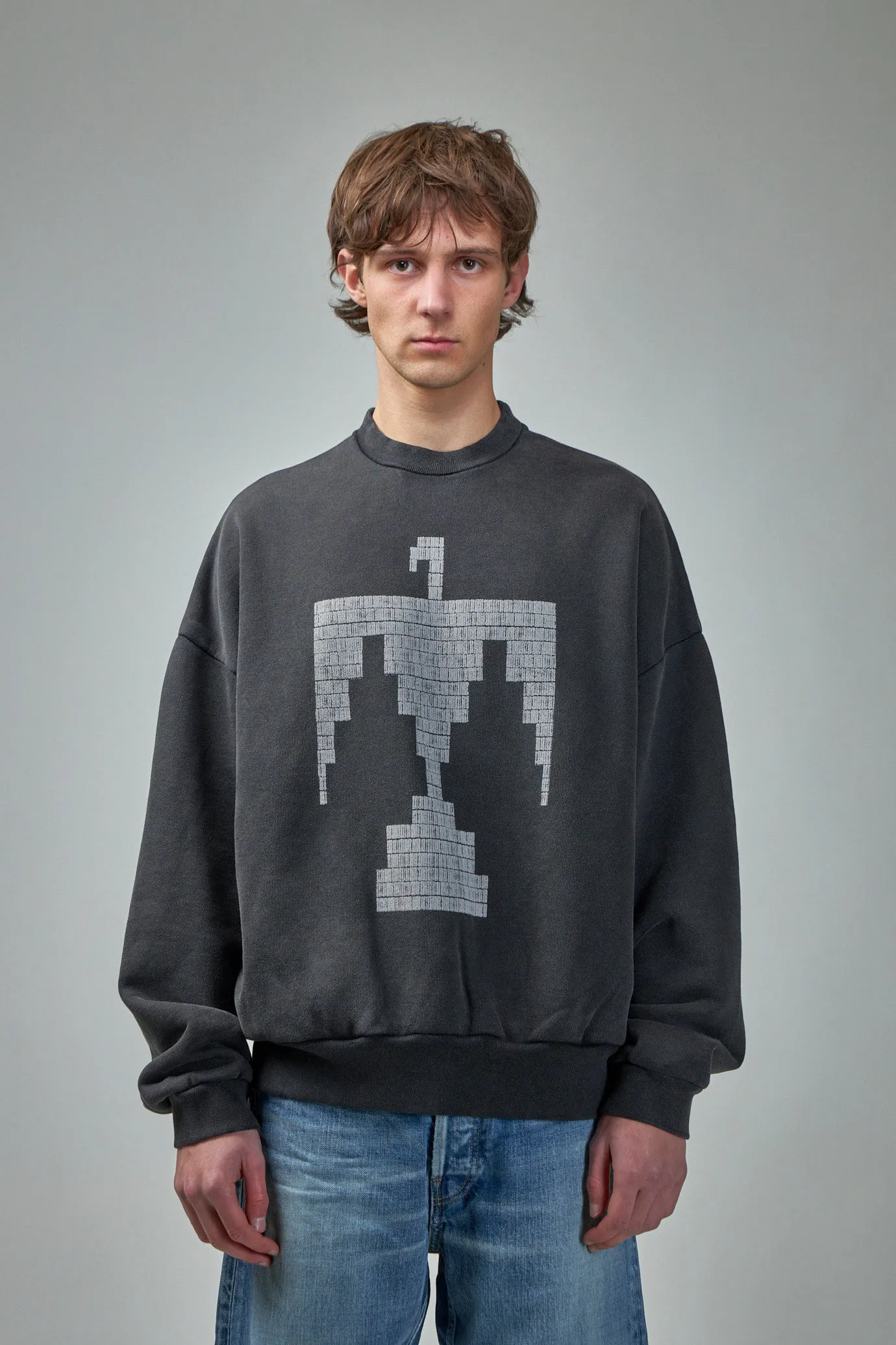 Thunderbird Crewneck