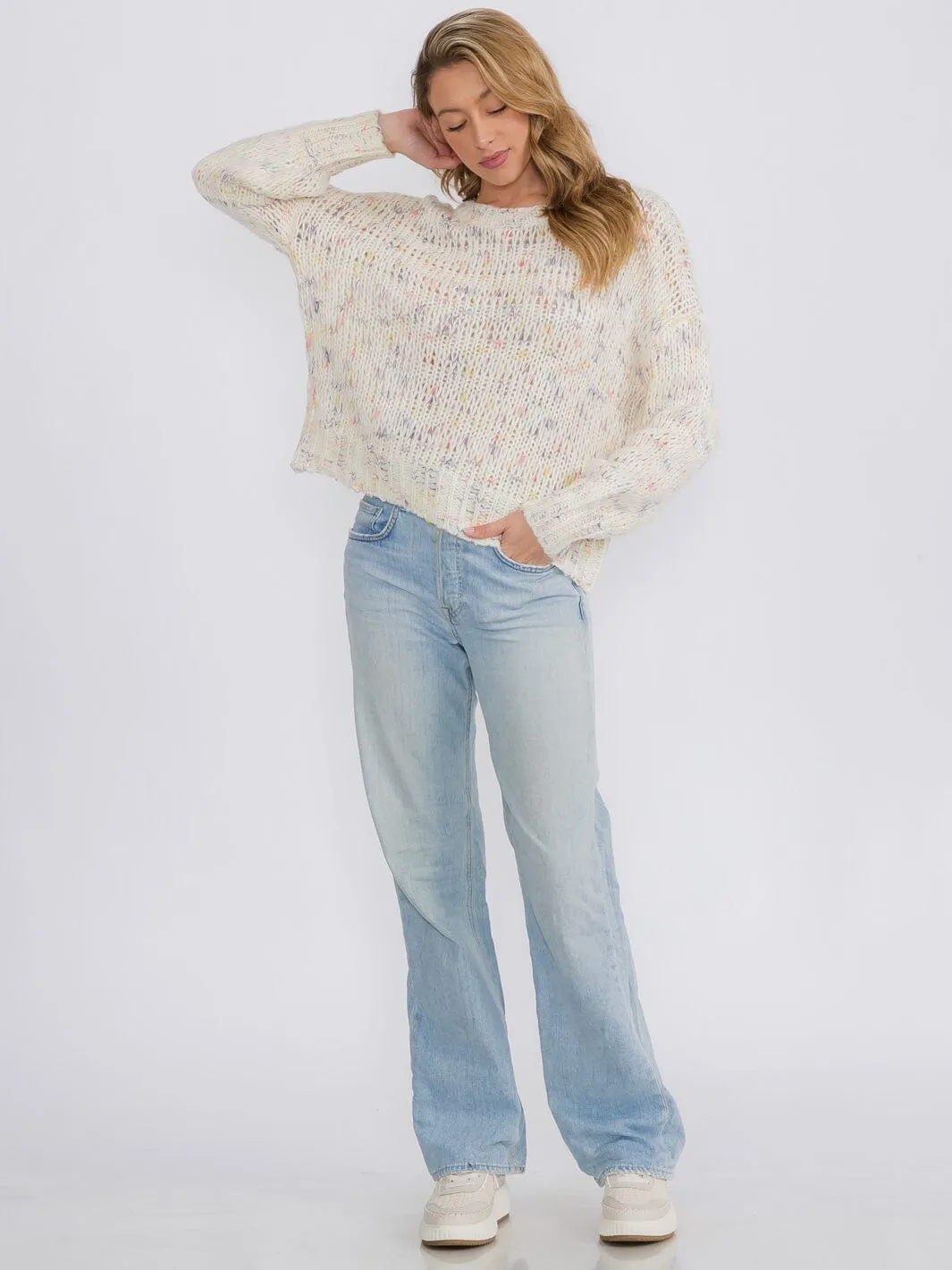 WOMEN'S LONG SLEEVES PULLOVER MULTI SWEATER