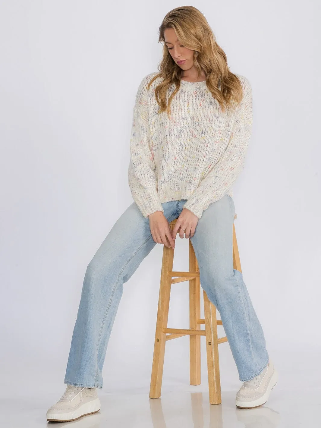 WOMEN'S LONG SLEEVES PULLOVER MULTI SWEATER
